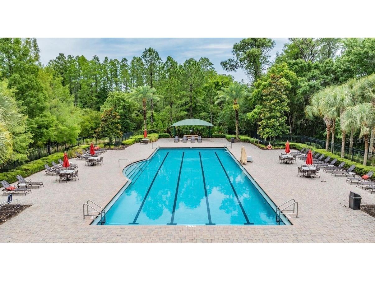 8904 Crystal Creek Court Land O Lakes FL 34638 TB8500177 image89