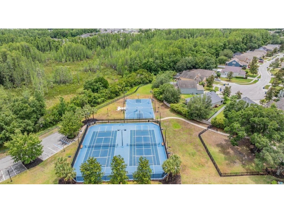 8904 Crystal Creek Court Land O Lakes FL 34638 TB8500177 image93