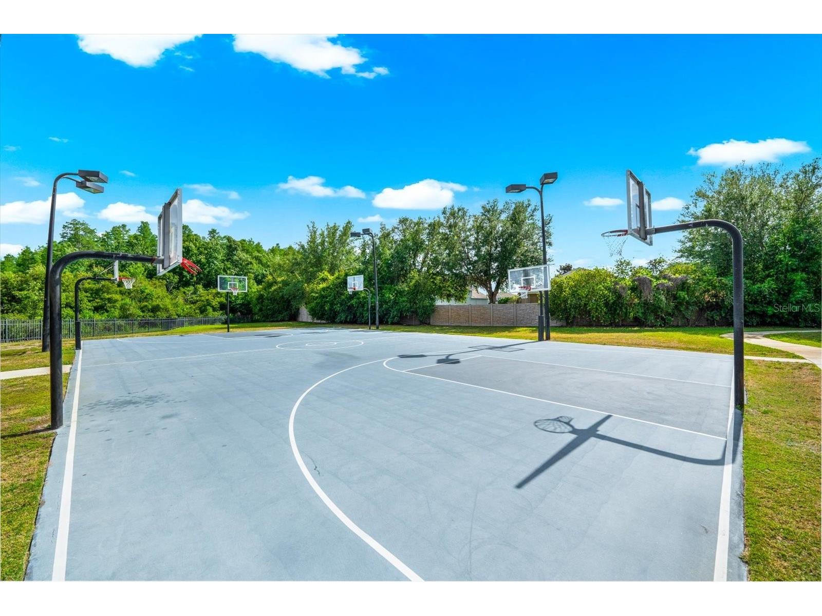8904 Crystal Creek Court Land O Lakes FL 34638 TB8500177 image99