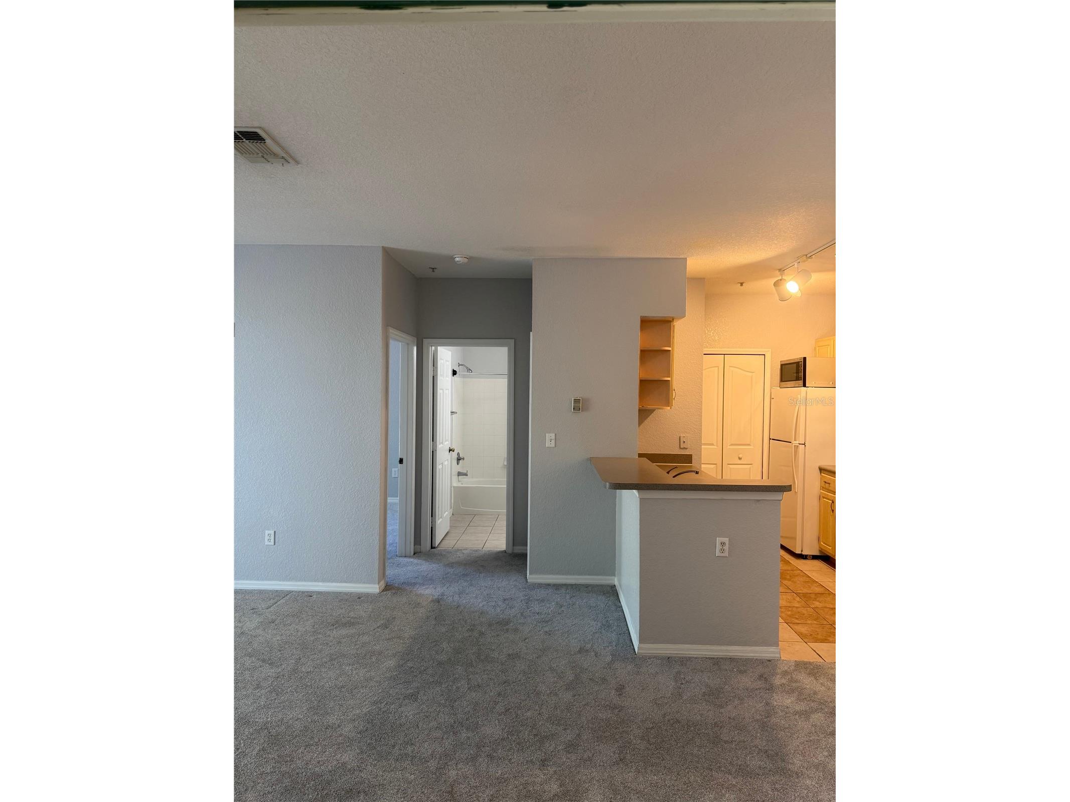 8904 Legacy Court #209 Kissimmee FL 34747 S5145671 image5