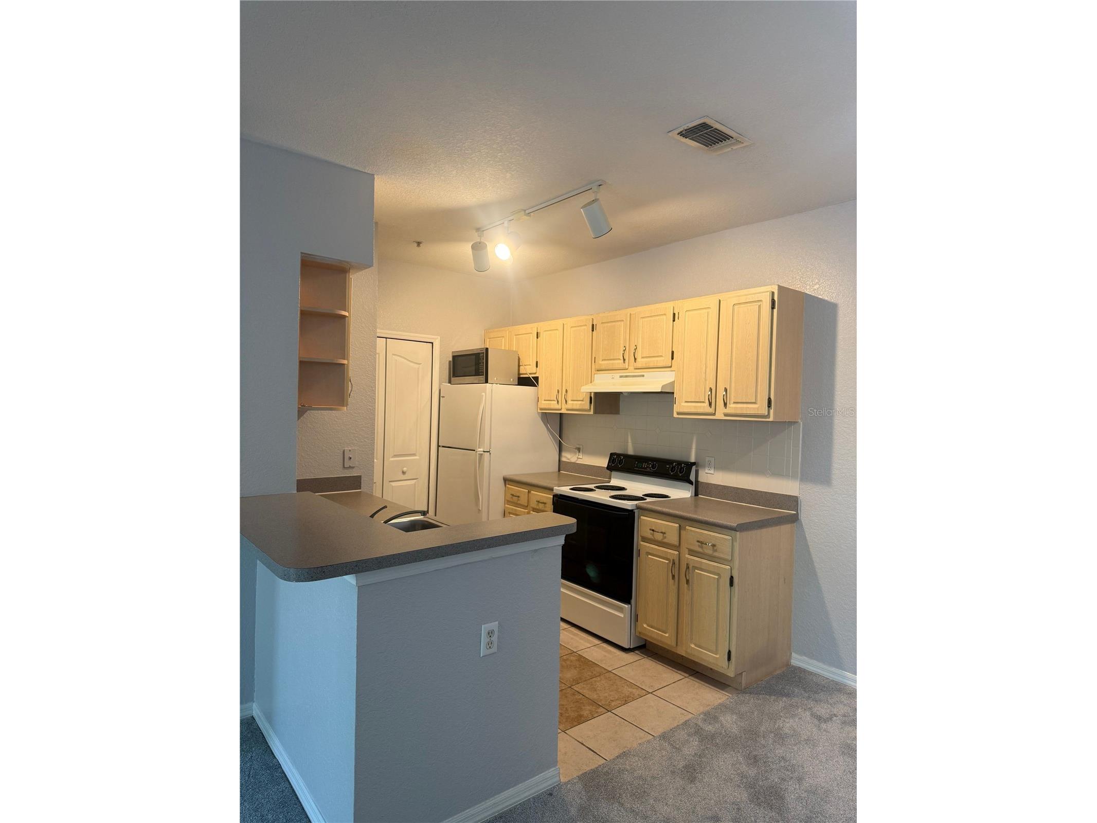 8904 Legacy Court #209 Kissimmee FL 34747 S5145671 image6