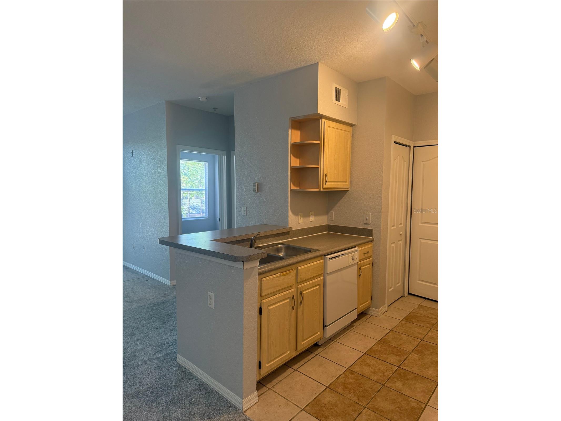 8904 Legacy Court #209 Kissimmee FL 34747 S5145671 image7
