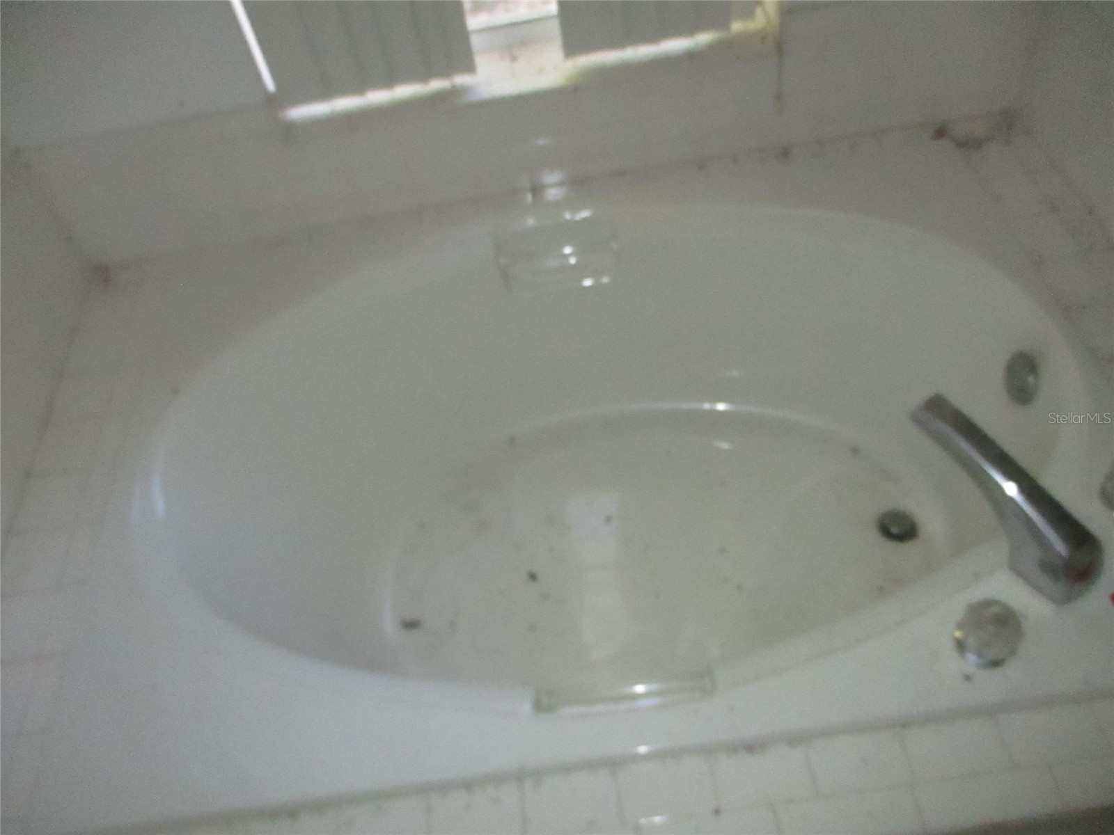 8904 Planters Lane New Port Richey FL 34654 W7885244 image17