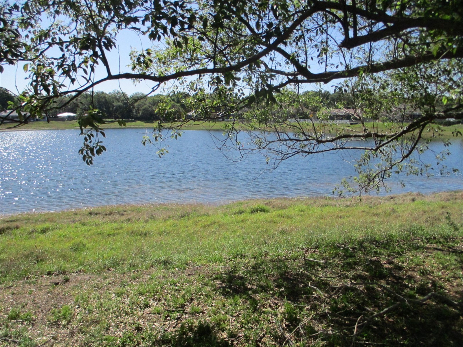 8904 Planters Lane New Port Richey FL 34654 W7885244 image4