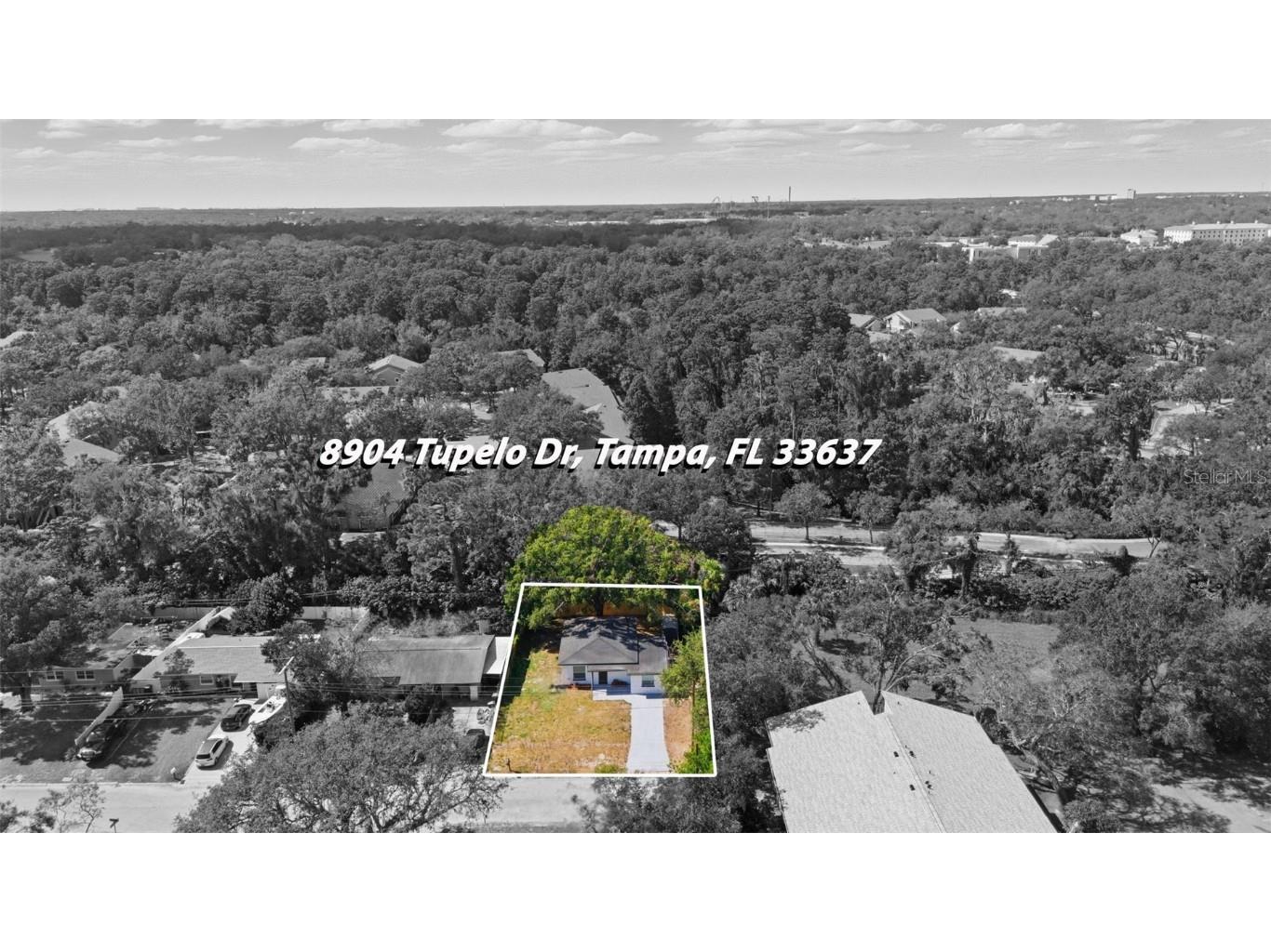 8904 Tupelo Drive Tampa FL 33637 TB8440265 image29