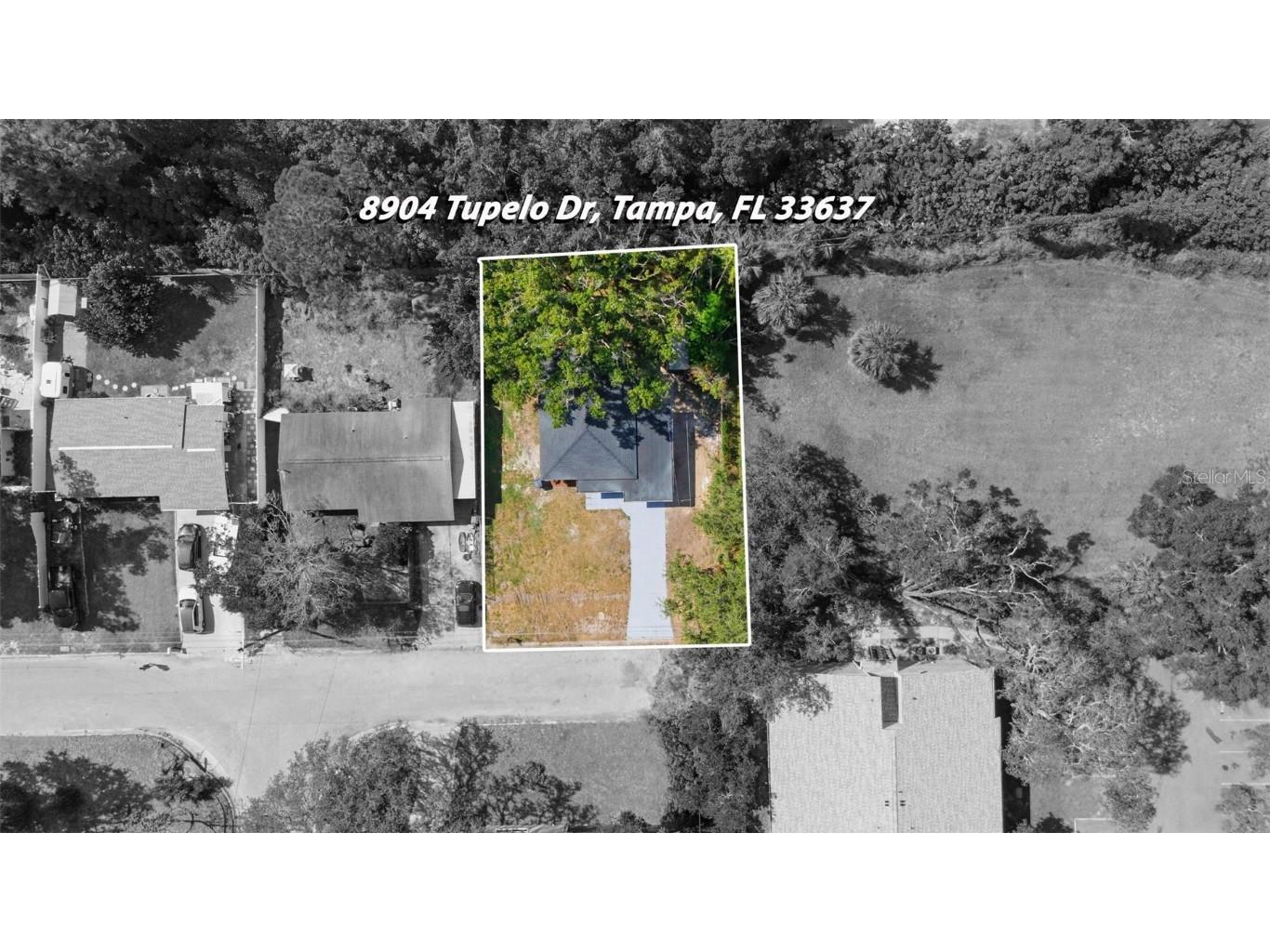 8904 Tupelo Drive Tampa FL 33637 TB8440265 image30