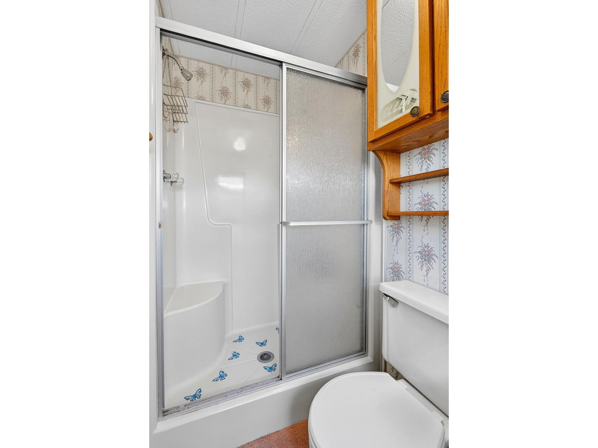 8906 31st Avenue E Palmetto FL 34221 A4692757 image25