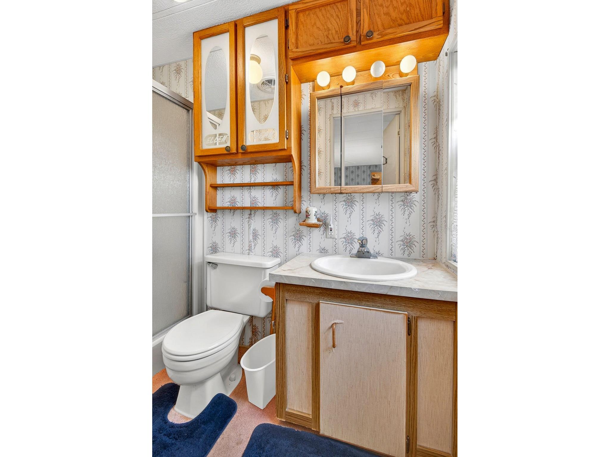 8906 31st Avenue E Palmetto FL 34221 A4692757 image26