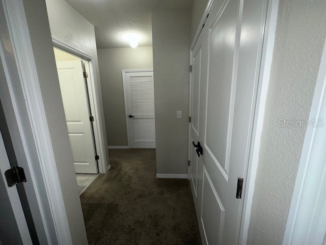 8906 Indigo Trail Loop Riverview FL 33578 TB8504863 image20