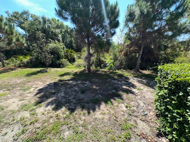 8906 Indigo Trail Loop Riverview FL 33578 TB8504863 image31