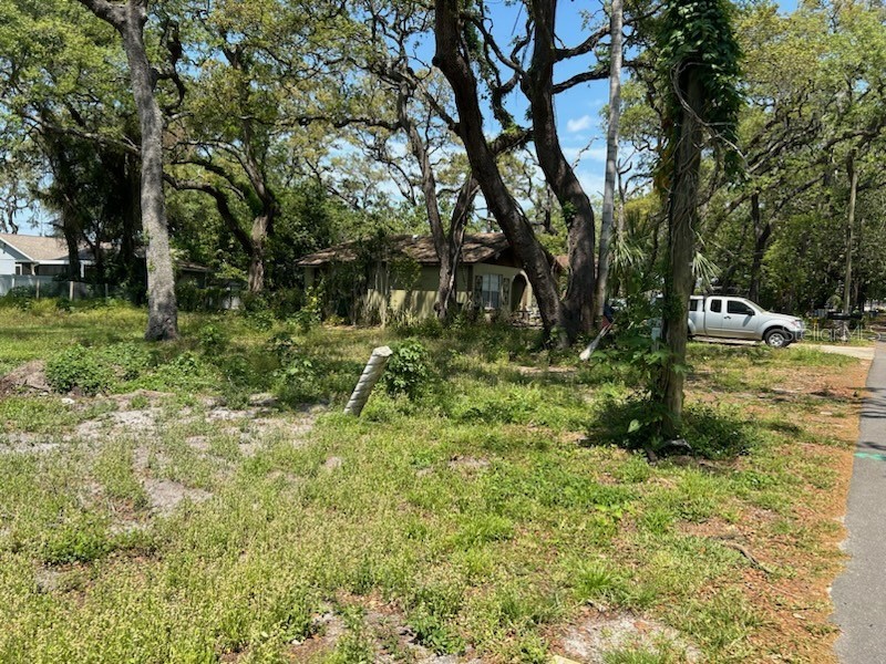 8906 N Otis Avenue Tampa FL 33604 T3517705 image1