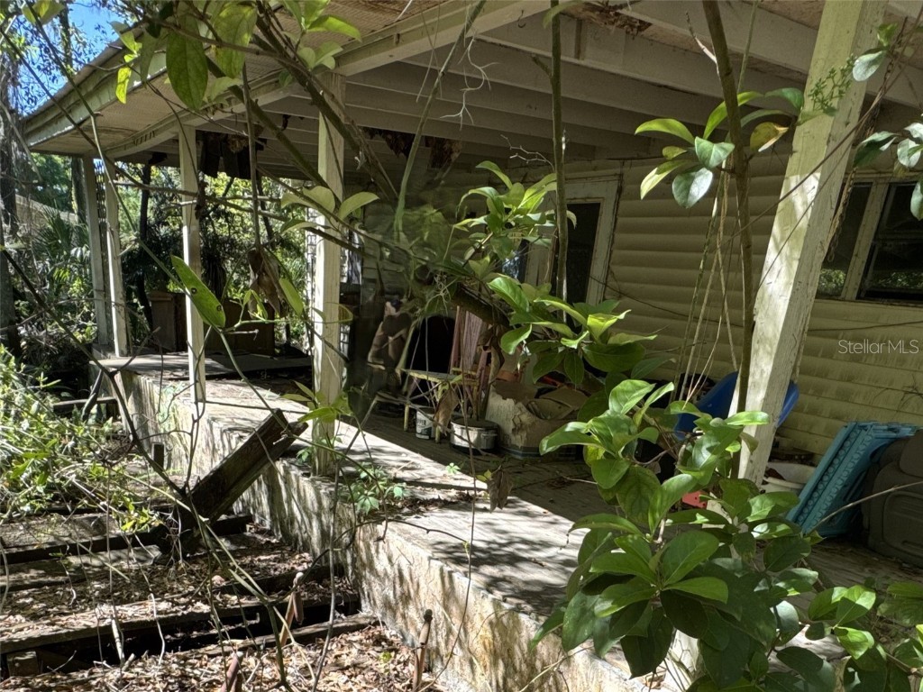 8906 Turkey Creek Road Plant City FL 33567 A4646986 image1