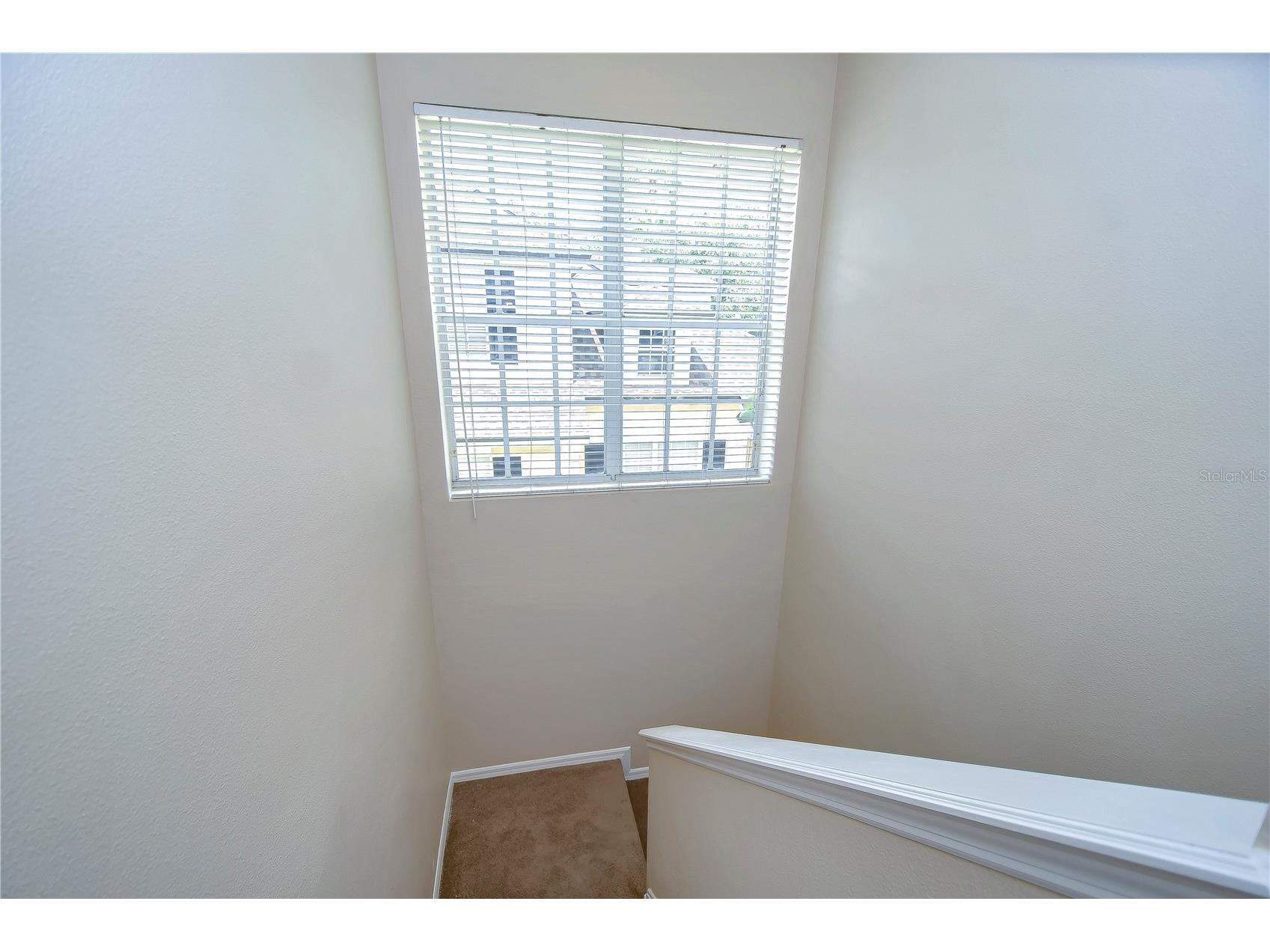 8907 Ashford Gables Tampa FL 33626 TB8358542 image22