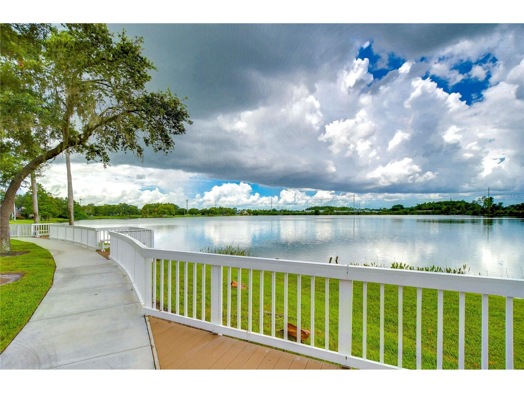 8907 Ashford Gables Tampa FL 33626 TB8358542 image40