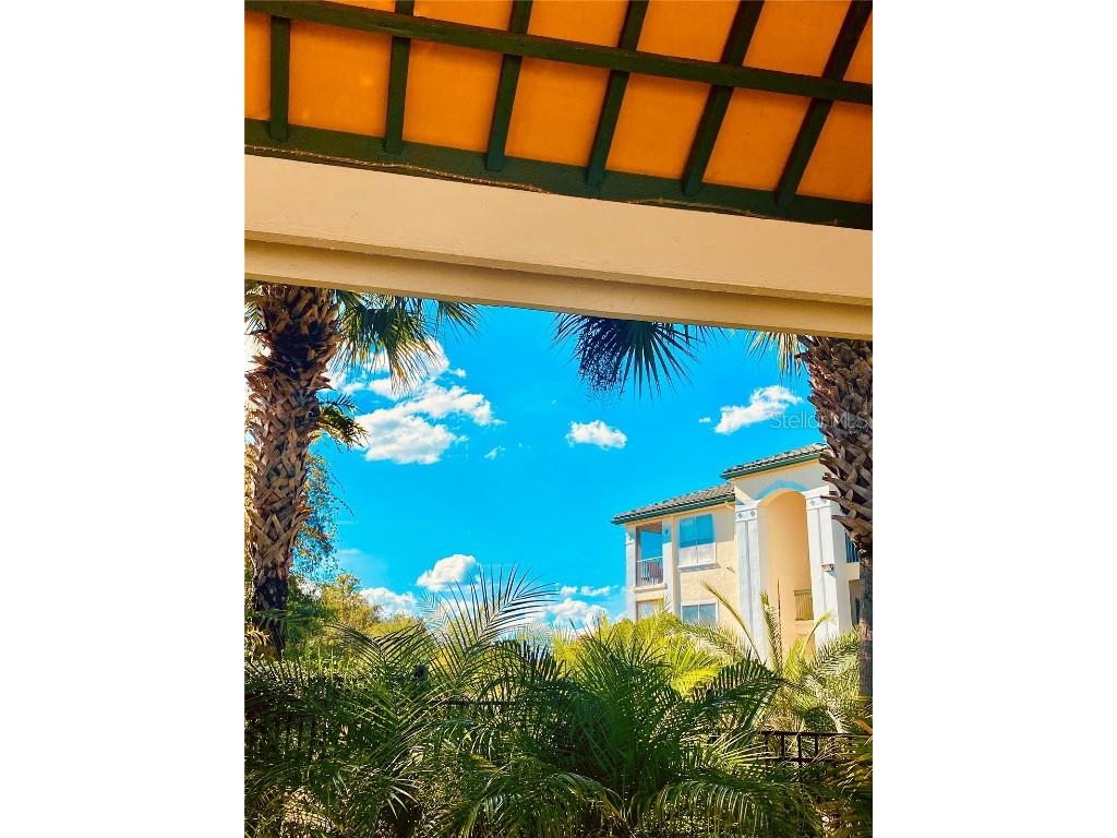 8907 Legacy Court #14 205 Kissimmee FL 34747 S5138286 image54