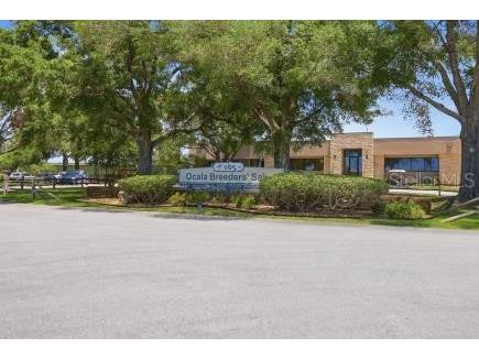 8907 SW 104th Circle Ocala FL 34481 TB8507267 image48