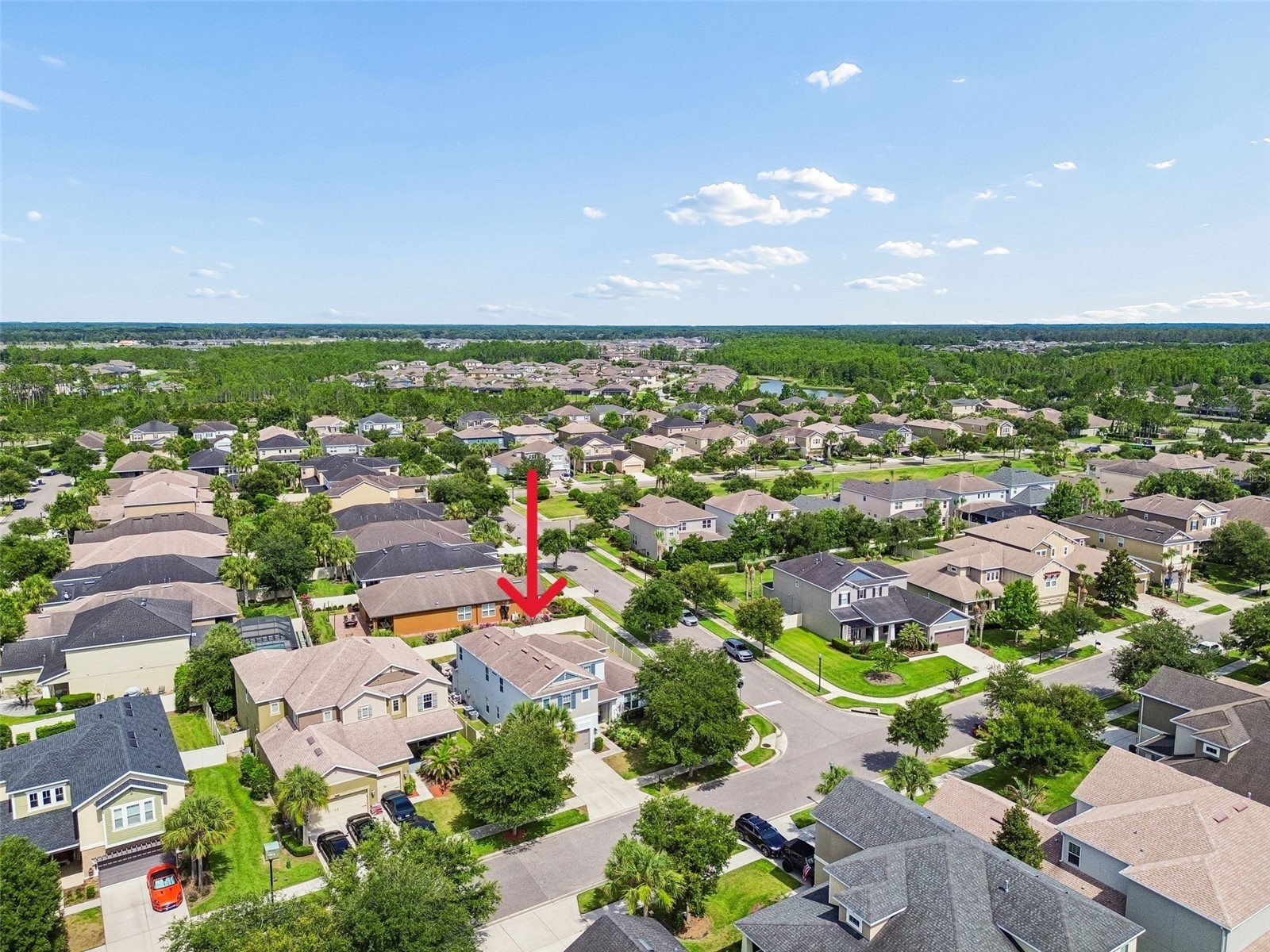 8908 Bella Vita Circle Land O Lakes FL 34637 TB8518048 image74