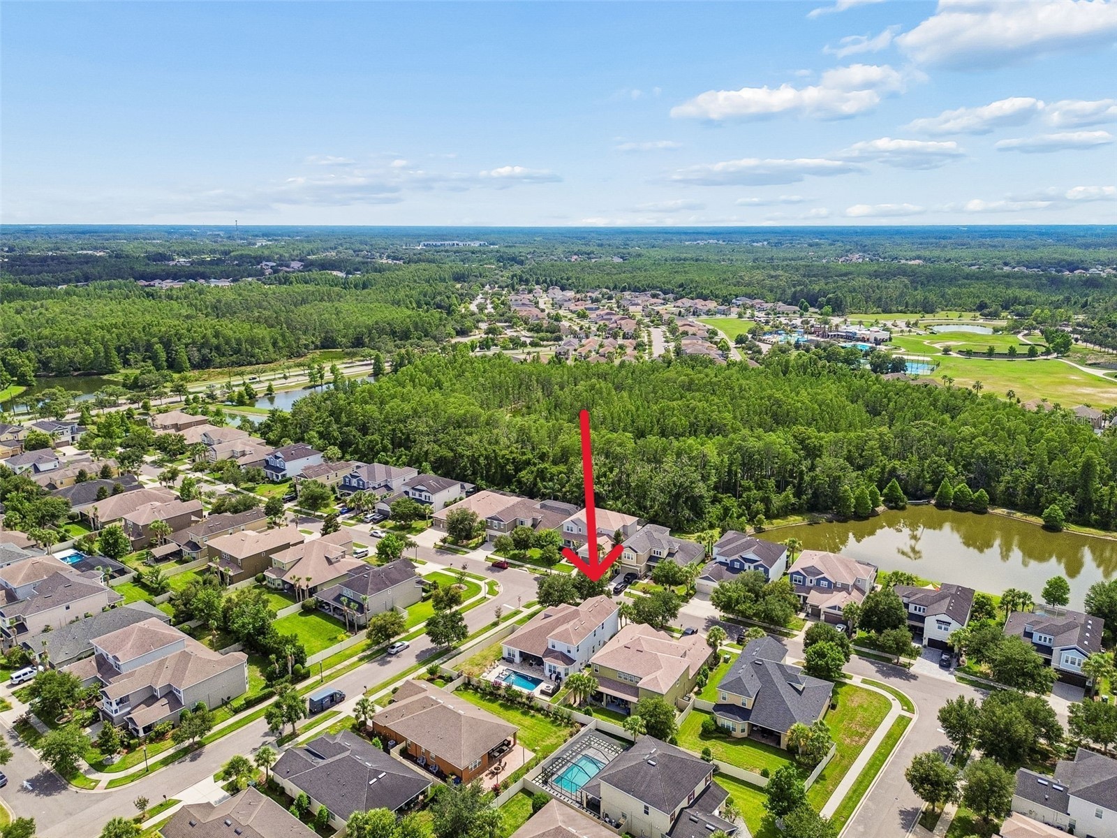 8908 Bella Vita Circle Land O Lakes FL 34637 TB8518048 image75