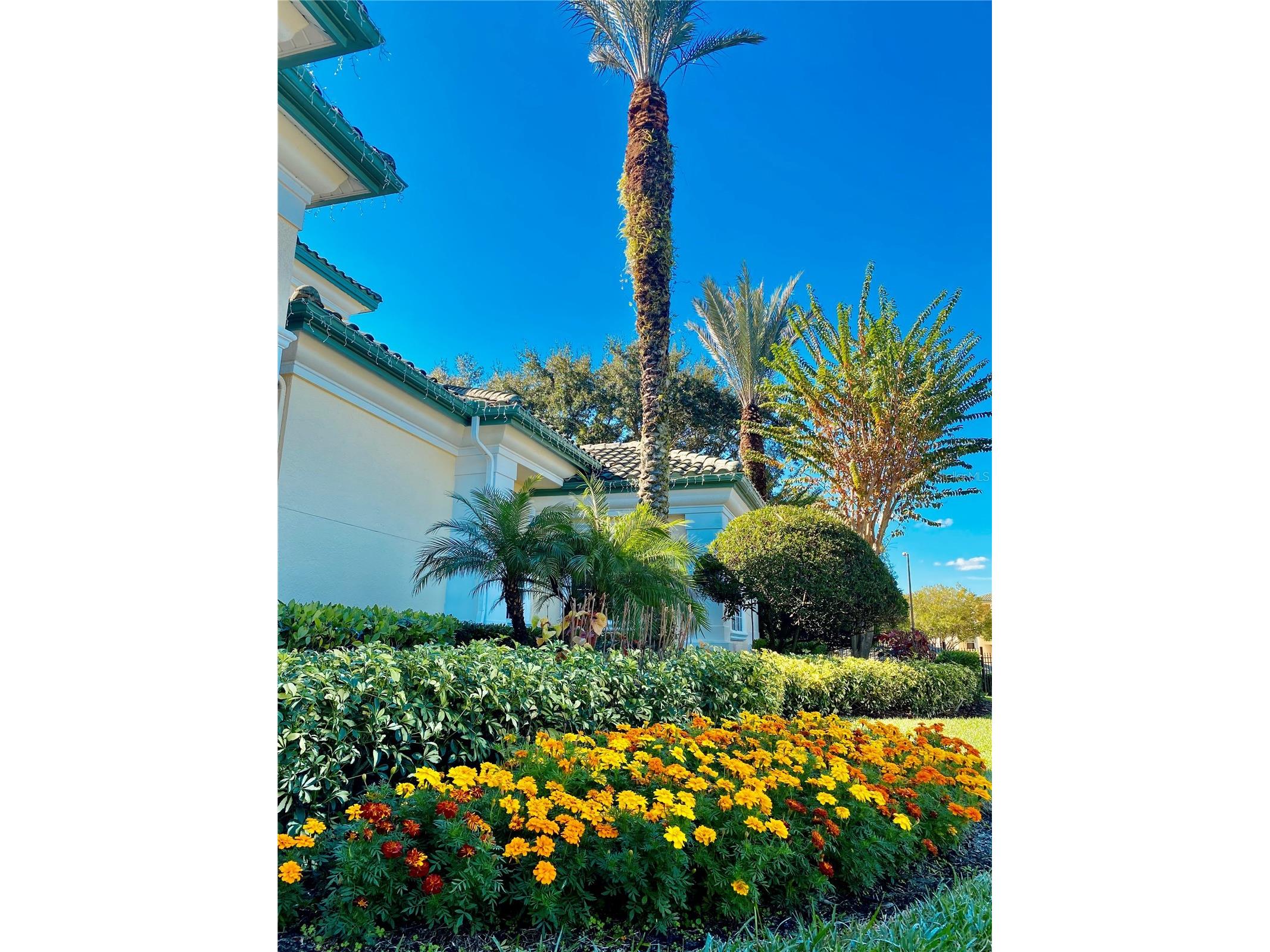 8908 Legacy Court #16 103 Kissimmee FL 34747 S5147266 image41