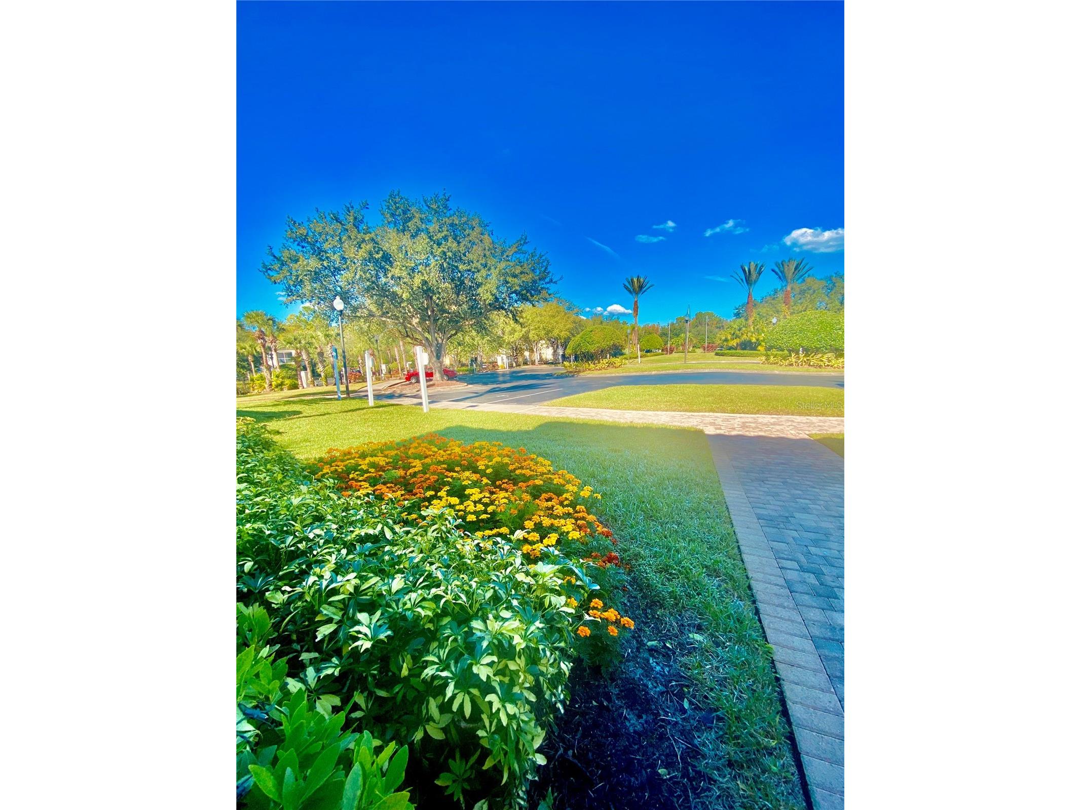 8908 Legacy Court #16 103 Kissimmee FL 34747 S5147266 image43