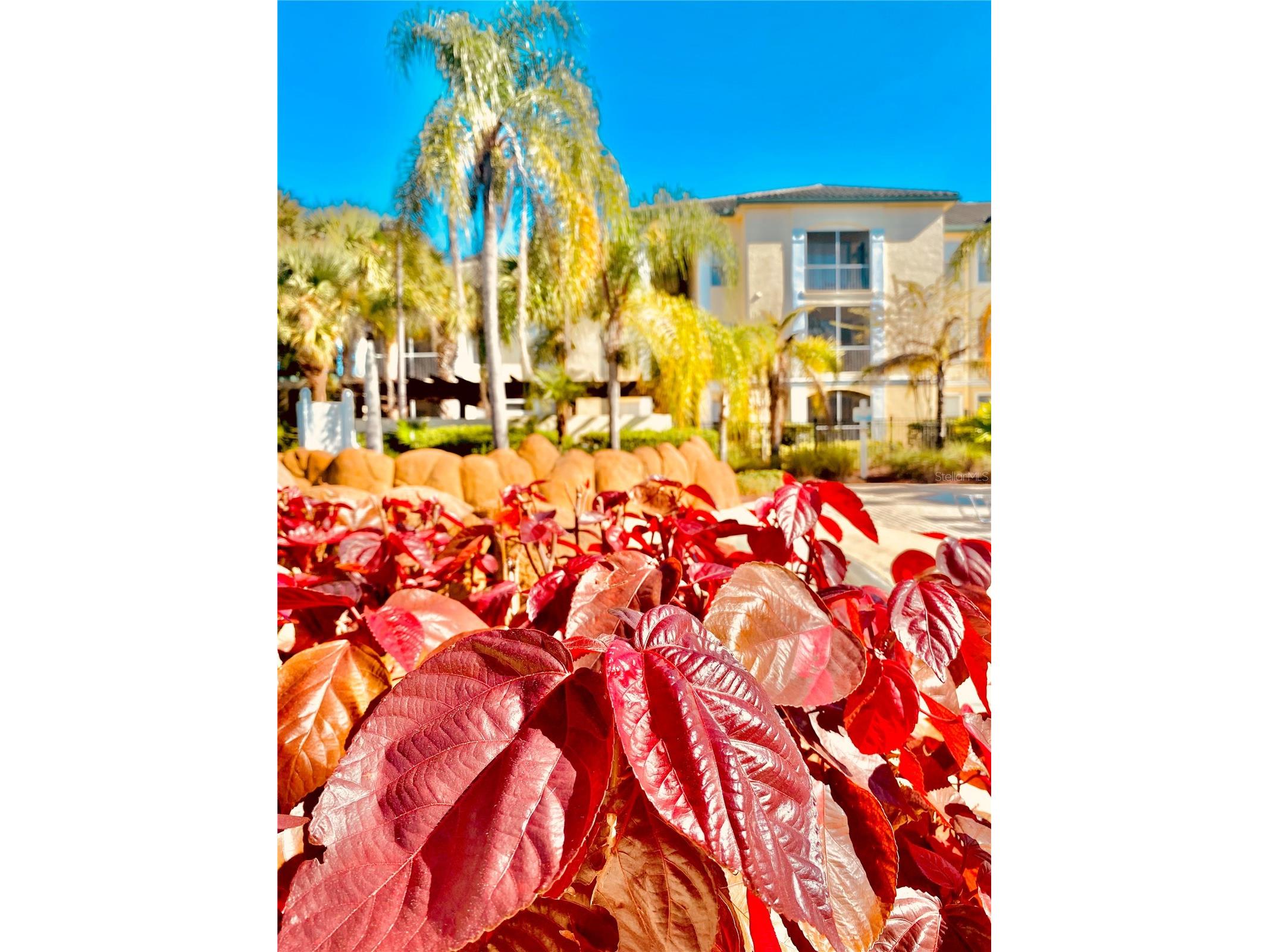 8908 Legacy Court #16 103 Kissimmee FL 34747 S5147266 image53
