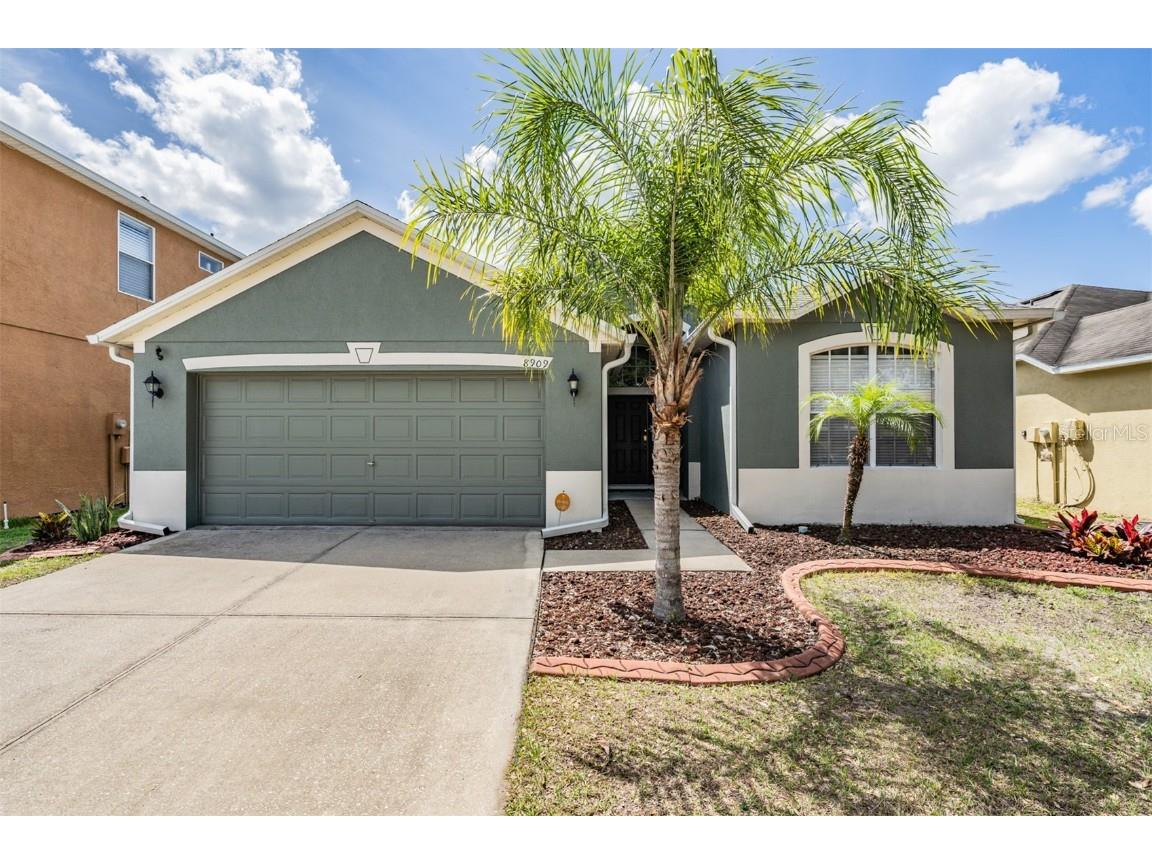 8909 Sandy Plains Drive Riverview FL 33578 T3439806 image1