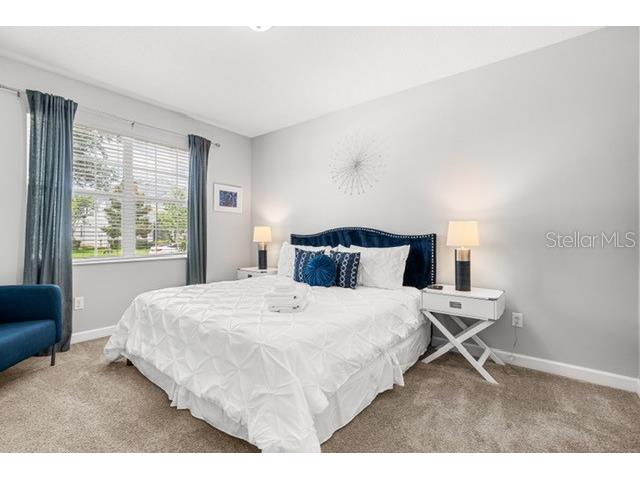 8909 Stinger Drive Champions Gate FL 33896 O6402178 image26