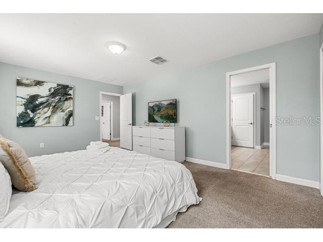 8909 Stinger Drive Champions Gate FL 33896 O6402178 image32