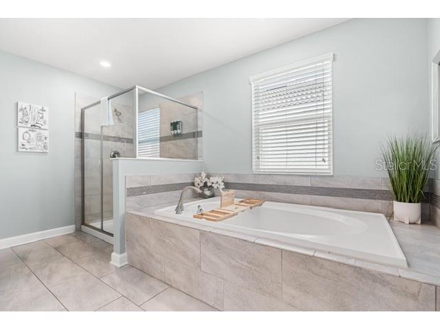 8909 Stinger Drive Champions Gate FL 33896 O6402178 image34