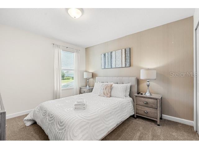 8909 Stinger Drive Champions Gate FL 33896 O6402178 image44
