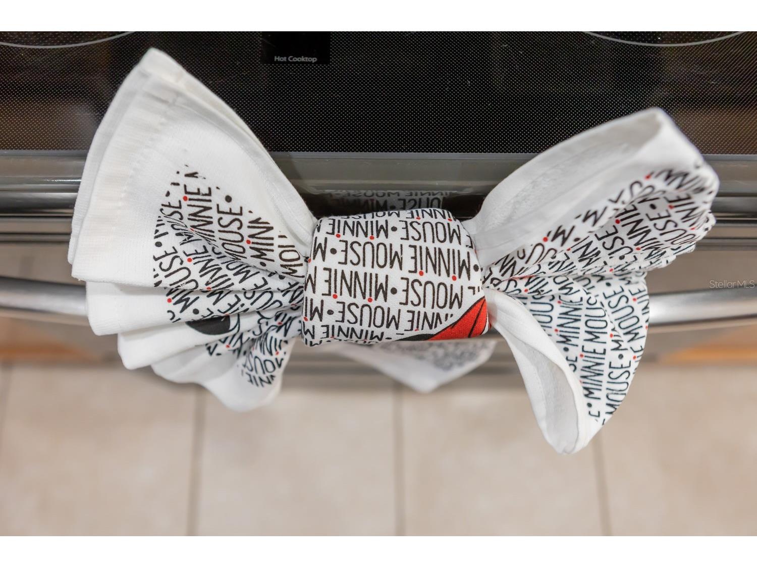 891 Assembly Court Reunion FL 34747 O6358704 image49