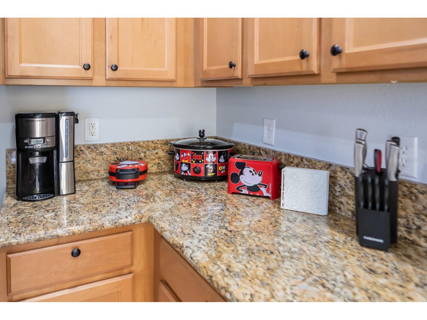 891 Assembly Court Reunion FL 34747 O6358704 image50