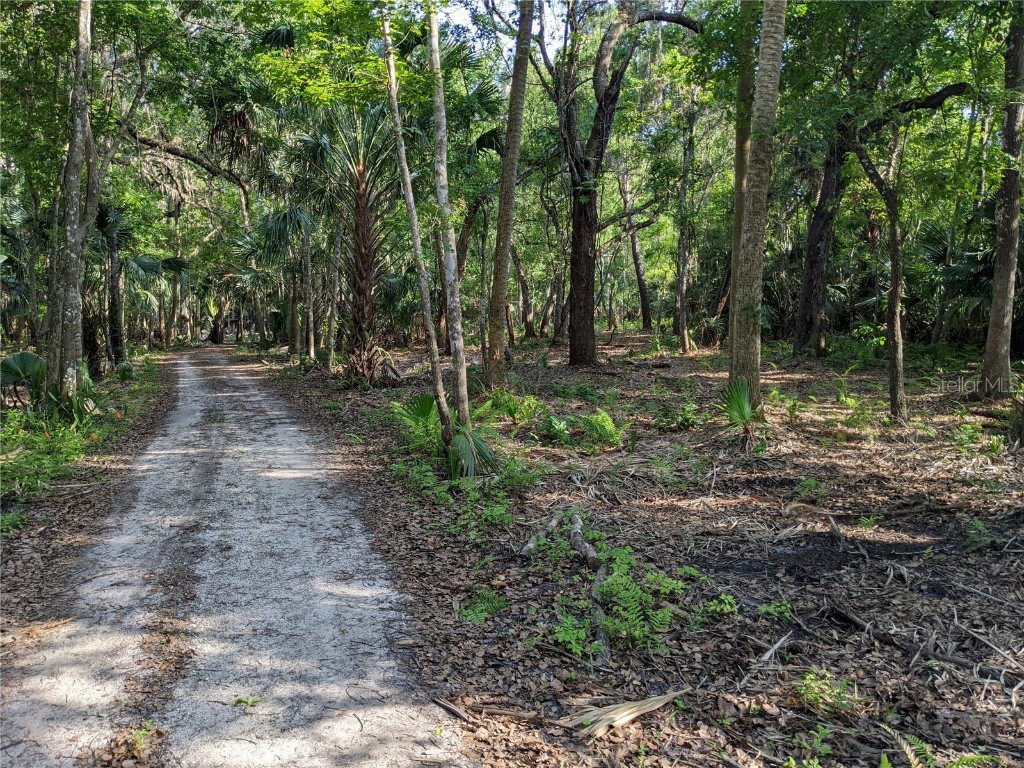 891 Michigan Street Sanford FL 32773 O6355564 image4