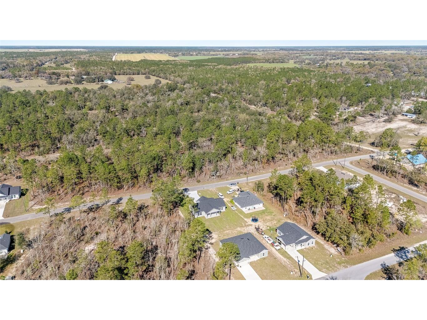 891 NE 150th Avenue Williston FL 32696 OM697444 image53