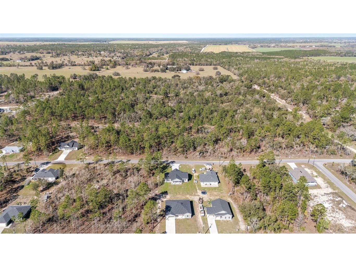 891 NE 150th Avenue Williston FL 32696 OM697444 image54