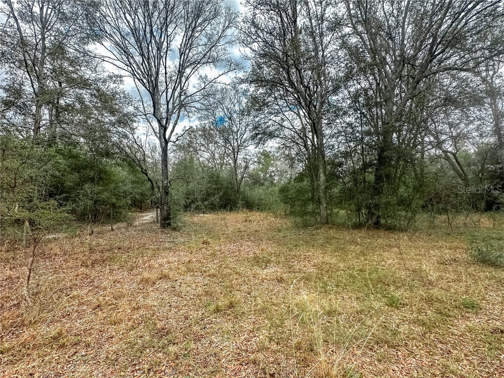 891 SW Applewood Glen Fort White FL 32038 GC528499 image1