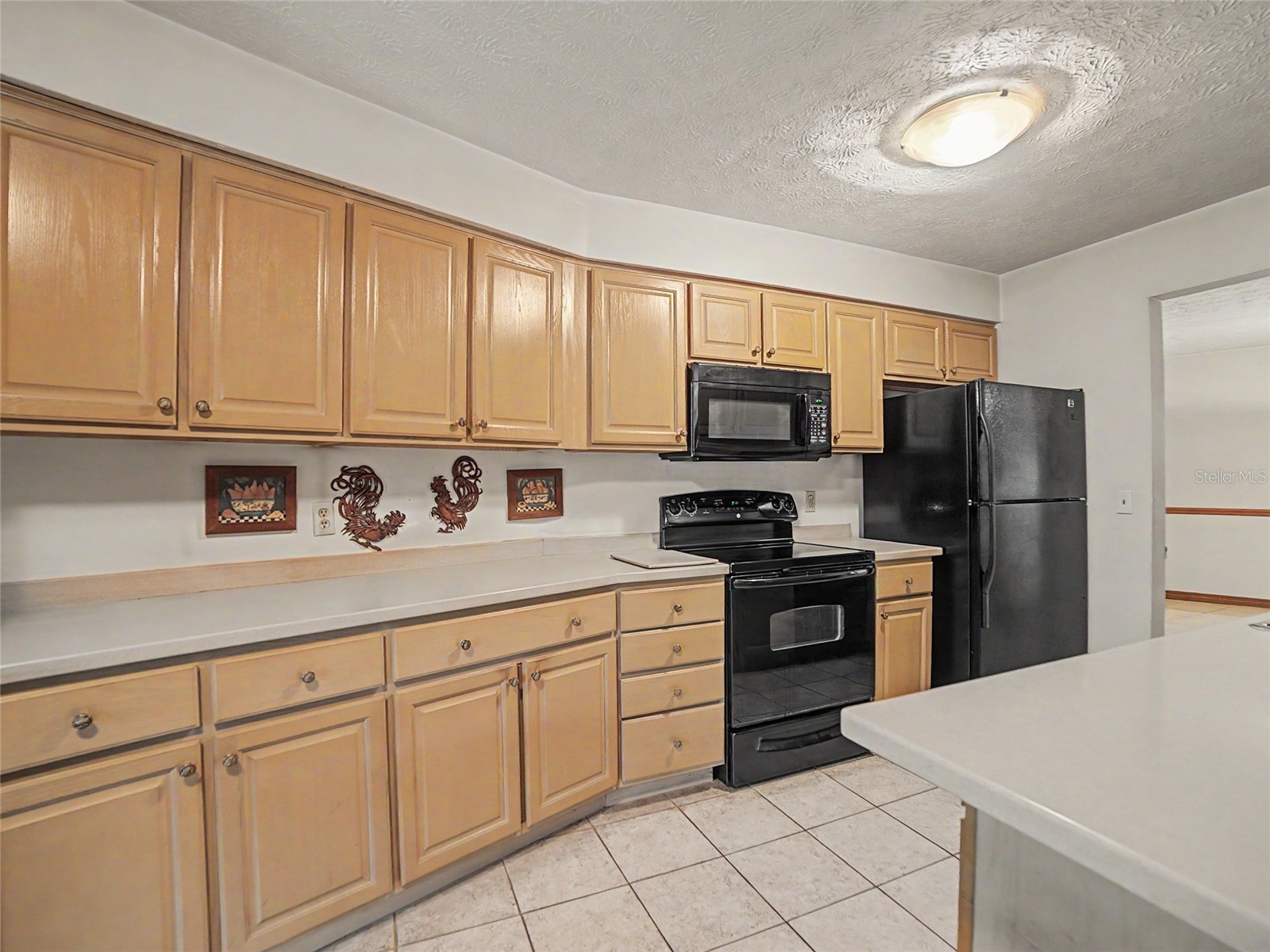 891 Timber Pond Drive Brandon FL 33510 TB8524084 image10