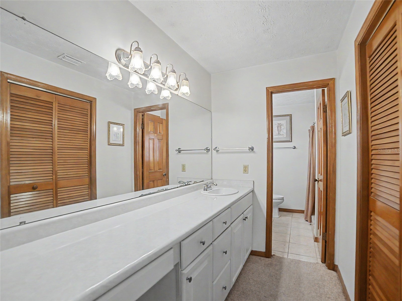 891 Timber Pond Drive Brandon FL 33510 TB8524084 image14