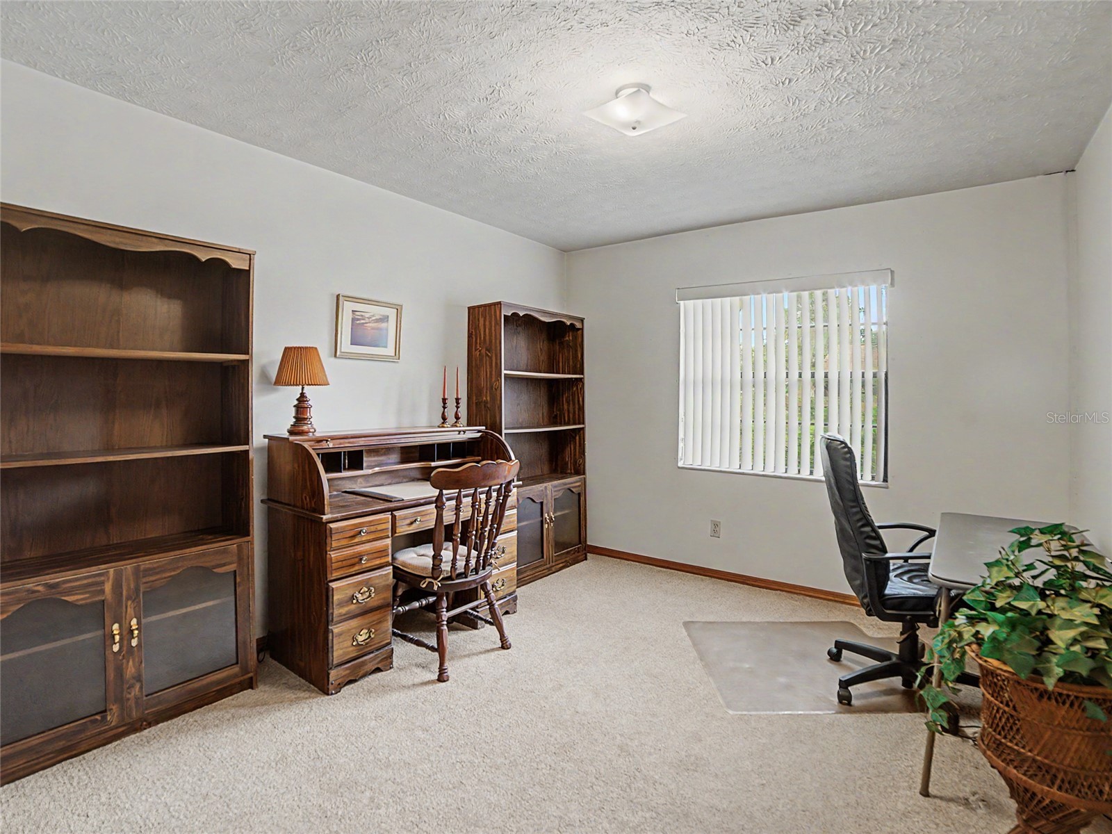 891 Timber Pond Drive Brandon FL 33510 TB8524084 image18