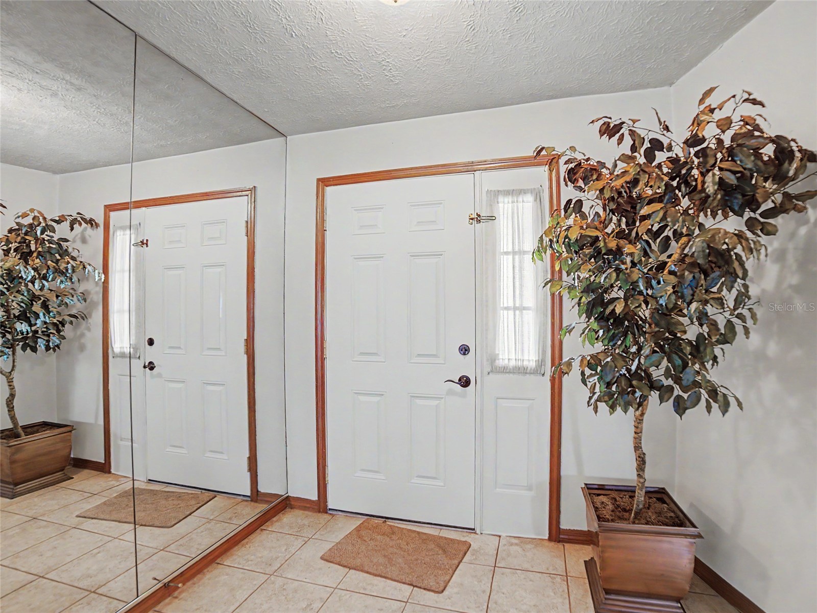 891 Timber Pond Drive Brandon FL 33510 TB8524084 image4