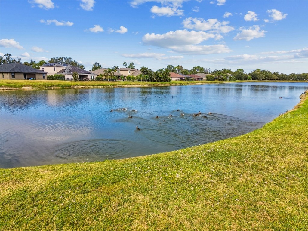 8910 52nd Avenue E Palmetto FL 34221 TB8437879 image69