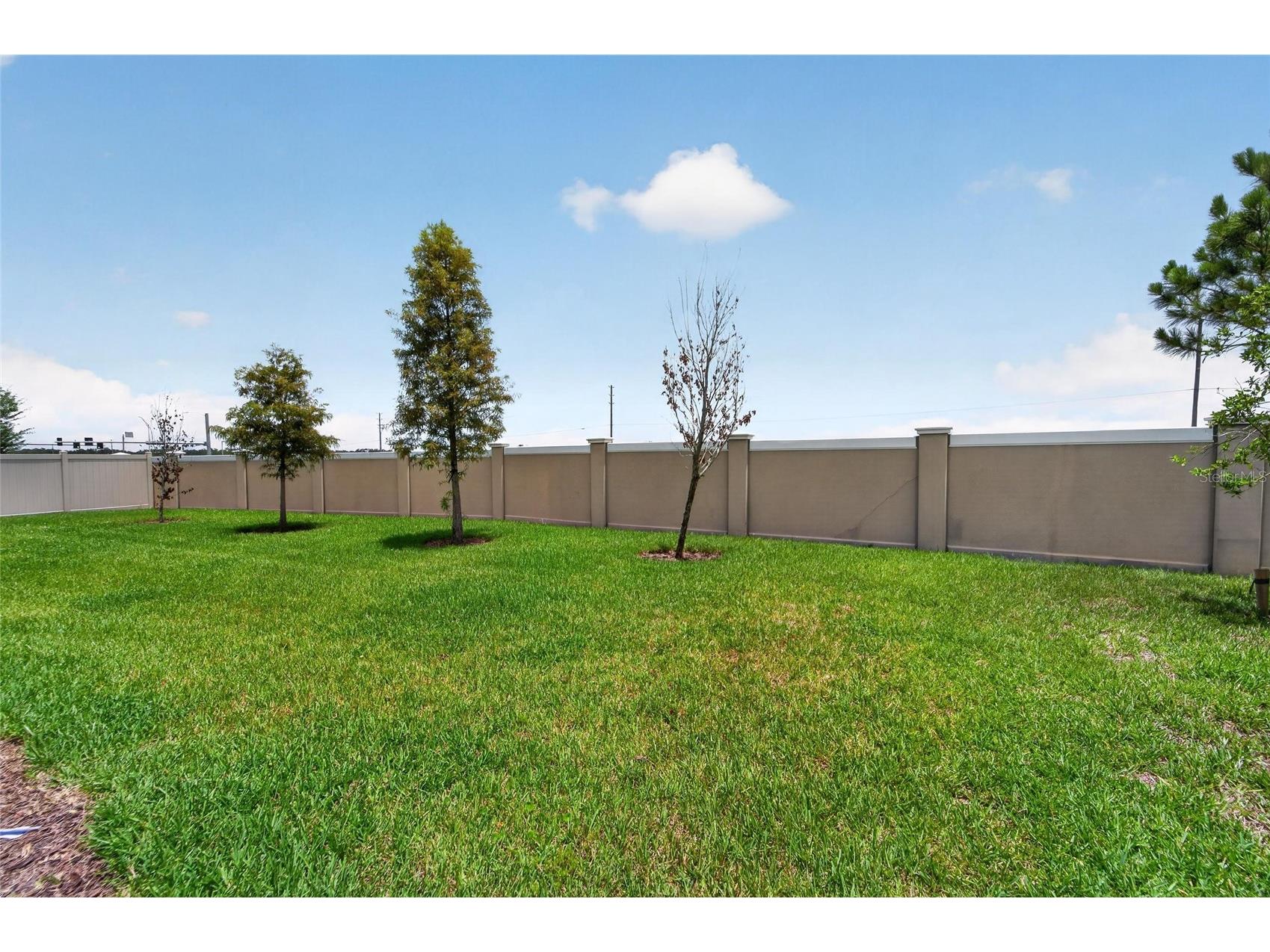 8910 Drummer Plank Drive Wesley Chapel FL 33545 TB8529412 image85