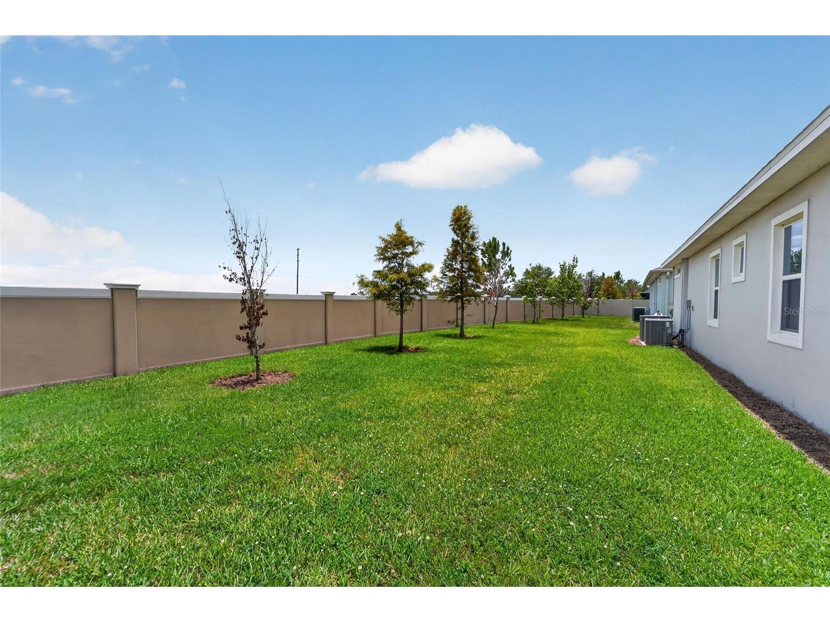 8910 Drummer Plank Drive Wesley Chapel FL 33545 TB8529412 image87