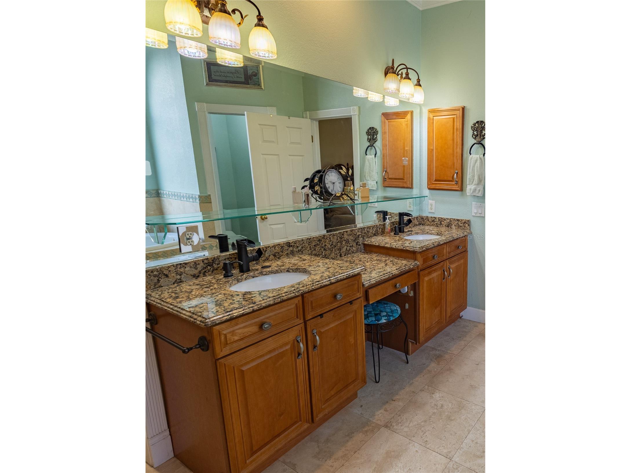 8910 Eagle Watch Drive Riverview FL 33578 - ALAFIA RIVER TB8471280 image15