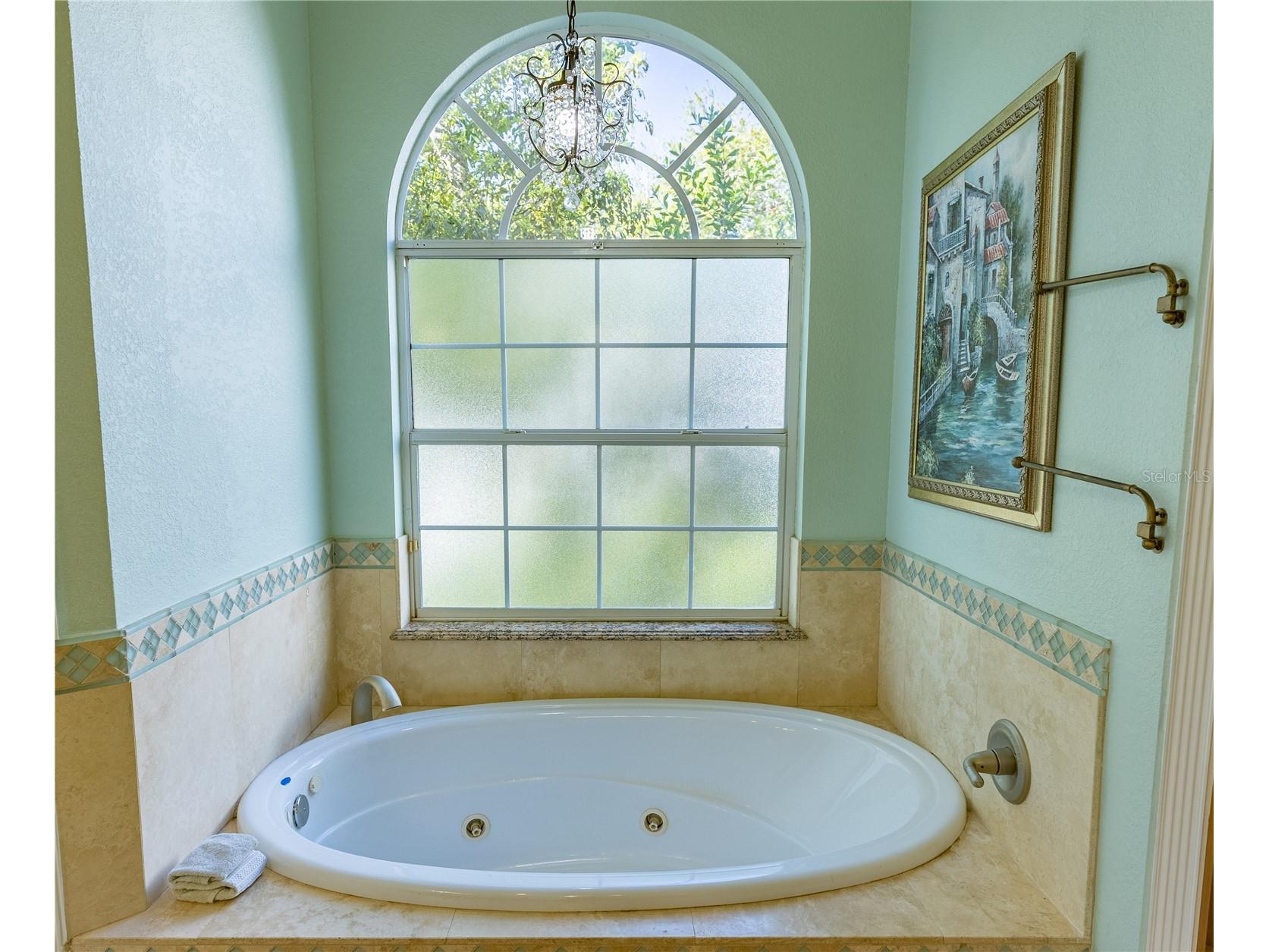 8910 Eagle Watch Drive Riverview FL 33578 - ALAFIA RIVER TB8471280 image16