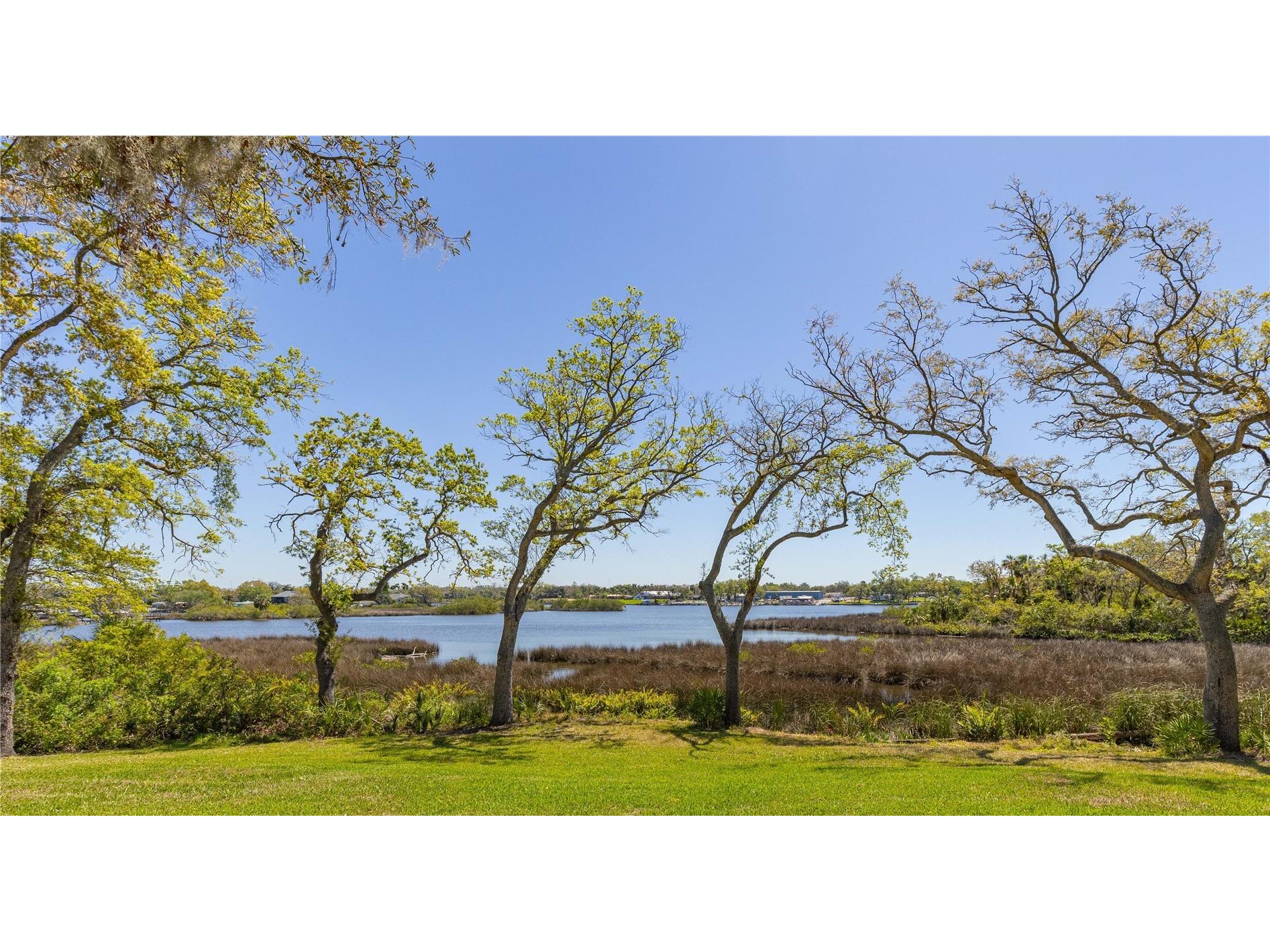 8910 Eagle Watch Drive Riverview FL 33578 - ALAFIA RIVER TB8471280 image2