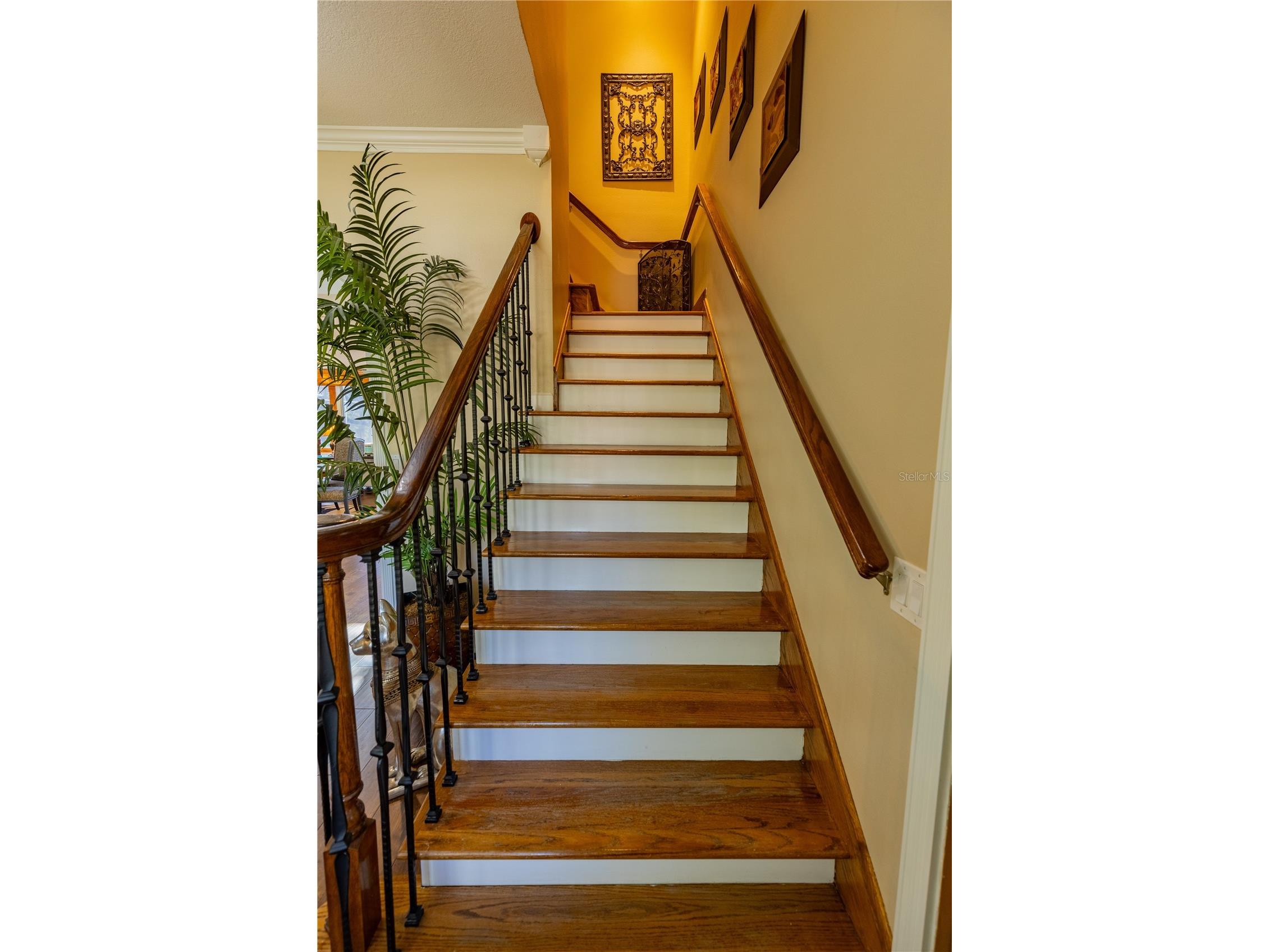 8910 Eagle Watch Drive Riverview FL 33578 - ALAFIA RIVER TB8471280 image20