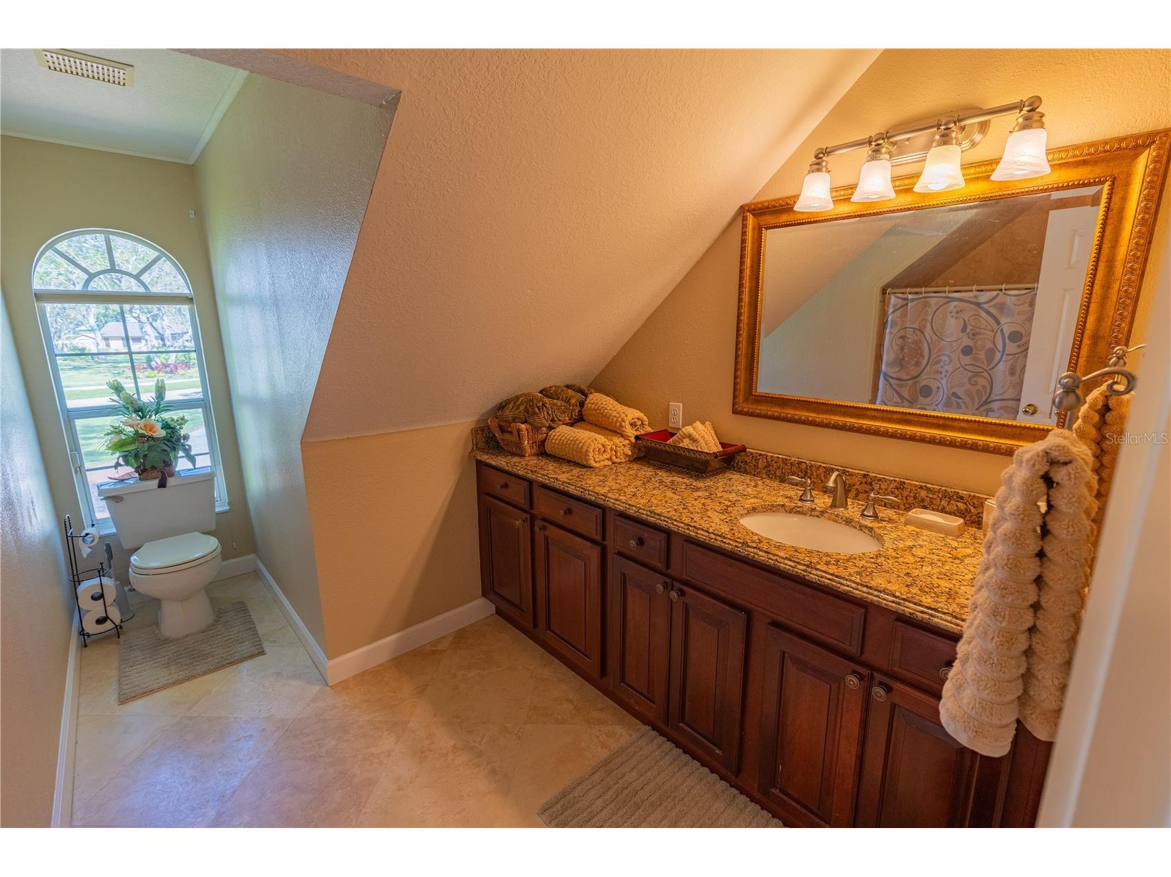 8910 Eagle Watch Drive Riverview FL 33578 - ALAFIA RIVER TB8471280 image24