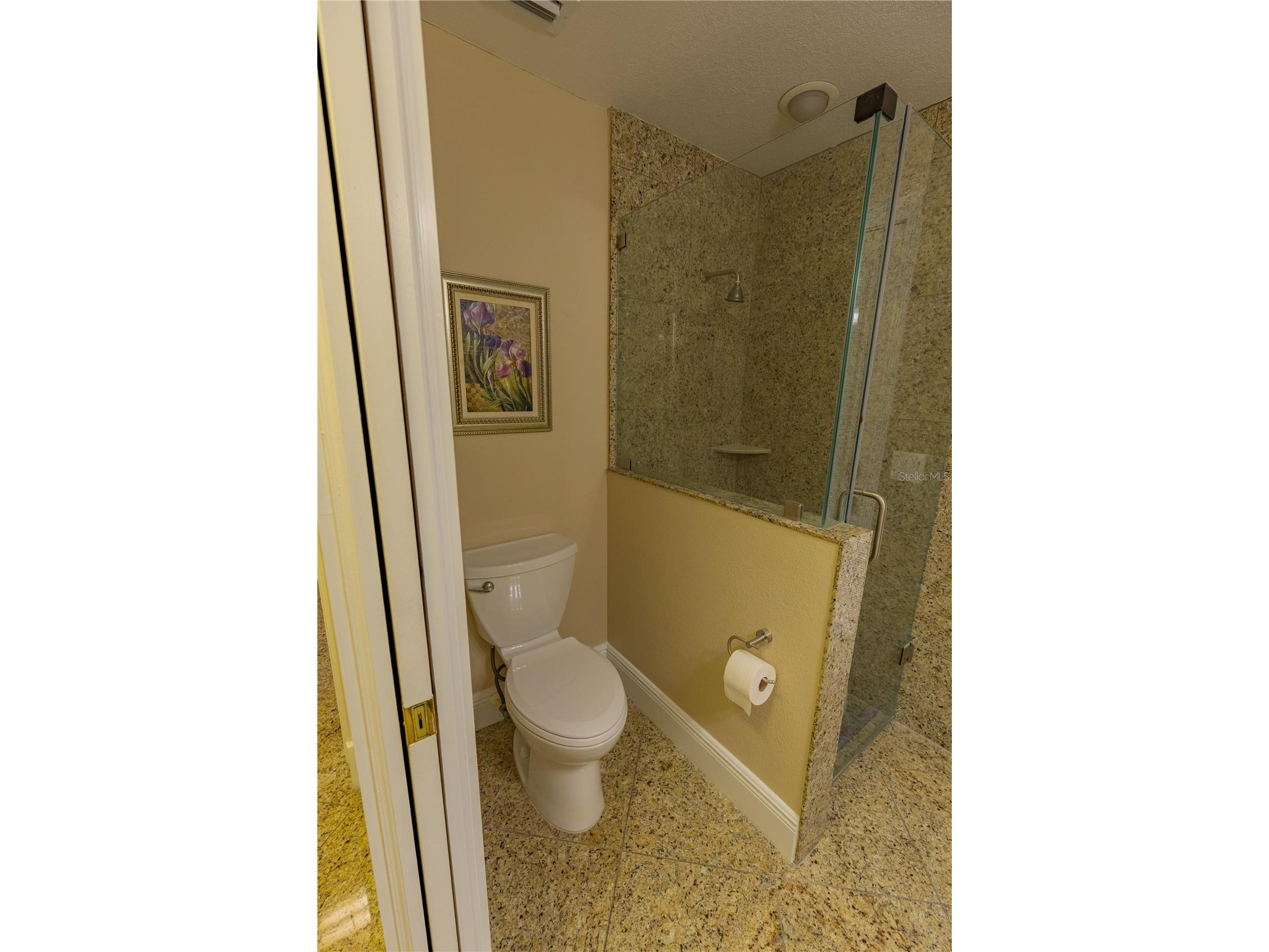 8910 Eagle Watch Drive Riverview FL 33578 - ALAFIA RIVER TB8471280 image31