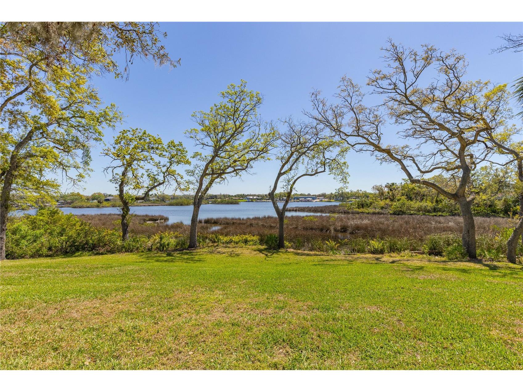 8910 Eagle Watch Drive Riverview FL 33578 - ALAFIA RIVER TB8471280 image34